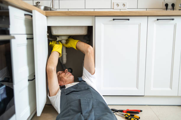 Best Garbage Disposal Repair and Installation  in Park Hills, KY